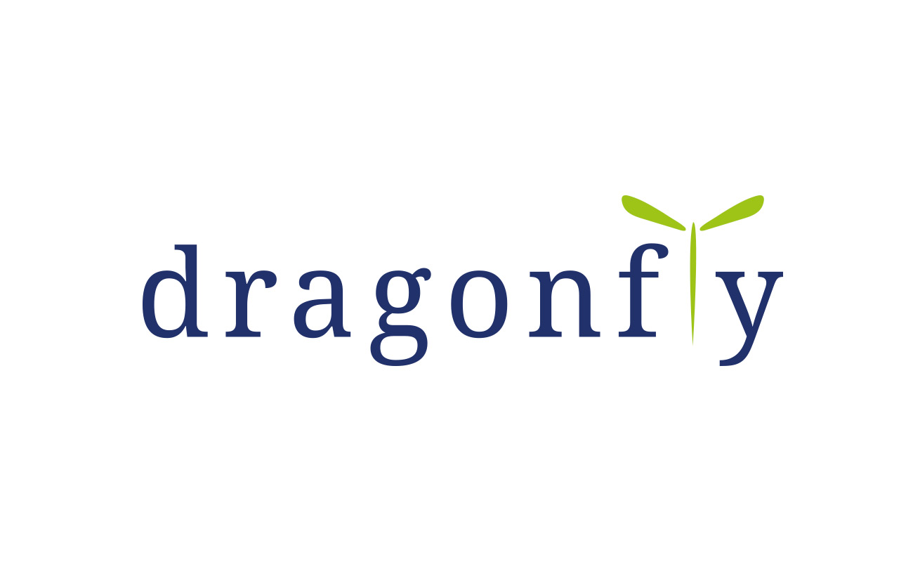 Dragonfly studio logo